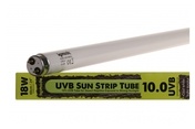 Komodo UVB T8 Fluorescent Bulbs