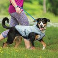 Kurgo Core Cooling Vest for Dogs