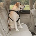 Kurgo Direct to Seatbelt Dog Tether