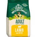 James Wellbeloved Adult Lamb & Rice Dog Dry Food