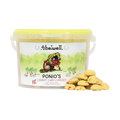 Lincoln Thelwell Ponio Treats for Horses