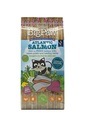 Little Big Paw Atlantic Salmon Complete Food for Adult Cats