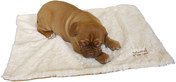 Rosewood Luxury Puppy Blanket