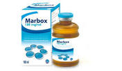 Marbox 100 mg/ml solution for injection for cattle and pigs