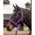 Mark Todd Deluxe Padded Headcollar with Leadrope Purple