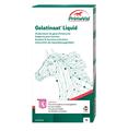 PrimeVal Gelatinaat Liquid for Horses