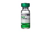 Purevax FeLV suspension for injection