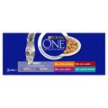 Purina One Adult Mini Fillets Selection in Gravy Cat Food