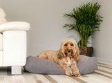 Ralph & Co Windsor Collection Dog Beds