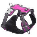 Red Dingo Hot Pink Padded Dog Harness