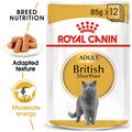 ROYAL CANIN® British Shorthair Adult Cat Wet Food