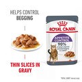 ROYAL CANIN® Feline Care Nutrition Appetite Control in Gravy for Cats