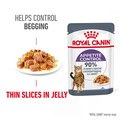 ROYAL CANIN® Feline Care Nutrition Appetite Control in Jelly for Cats