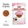 ROYAL CANIN® Feline Health Nutrition Kitten Wet Cat Food in Gravy