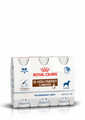 ROYAL CANIN® Gastro Intestinal High Energy Liquid