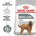 ROYAL CANIN® Maxi Dental Care Adult Dog Food