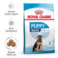 ROYAL CANIN® Maxi Puppy Food