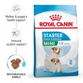 ROYAL CANIN® Mini Starter Mother & Babydog Adult and Puppy Food
