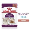 ROYAL CANIN® Sensory Feel in Gravy Adult Wet Cat Food