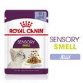 ROYAL CANIN® Sensory Smell in Jelly Adult Wet Cat Food
