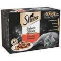 Sheba Select Slices Cat Pouches Succulent Collection in Gravy