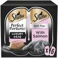 Sheba Perfect Portions with Salmon in Loaf