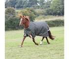 Shires Highlander Plus 50 Turnout Rug for Horses Green