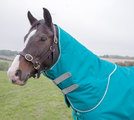 Shires Tempest Plus 200 Teal Turnout Neck Cover