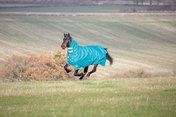 Shires Tempest Plus Teal 200 Turnout Combo