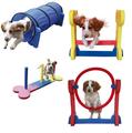 Rosewood Small Dog Agility Toys