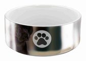 Trixie Dog Silver/White Paw Print Ceramic Bowl