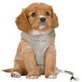 Trixie Junior Puppy Soft Harness With Leash Light Grey