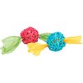 Trixie Set of Rattan Balls with Paper Band for Small Animals