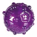 Trixie Assorted TPR Ball Dog Toy