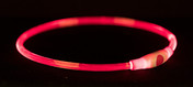 Trixie USB Flash Light Plastic Ring Dog Red