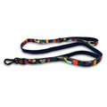 Twiggy Tags Adventure Lead with Close Control Handle Aurora for Dogs