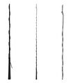 Waldhausen Telescopic Lunge Whip