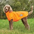 Weatherbeeta Comfitec Active Dog Coat Orange