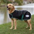 WeatherBeeta Green-Tec 900d Dog Coat Lite Plus Black/Bottle Green