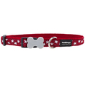 Red Dingo White Stars & Red Dog Collar