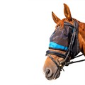 Woof Wear Ride On Fly Mask Turquoise
