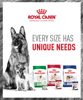 Royal Canin Size Health Sub Banner July 2024
