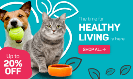 Homepage Banner: VioVet - Healthy Lifestyle 2022