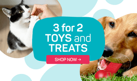 Homepage Banner: OB Treats & Toys