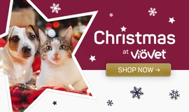 Homepage Banner: Christmas at VioVet
