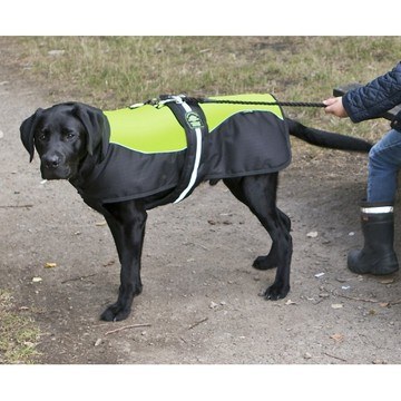 Animate Reflective Padded Harness Dog Coat | VioVet.co.uk