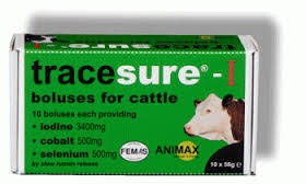Animax Tracesure- I Bolus for Cattle