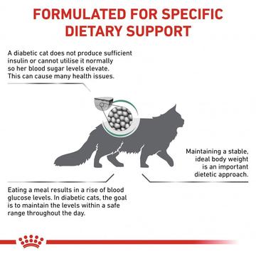 ROYAL CANIN® Diabetic Adult 🐱 Cat Food