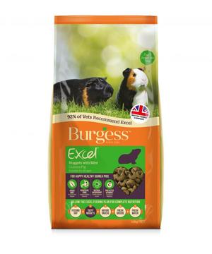 Burgess Excel Tasty Nuggets with Mint Adult Guinea Pig Food