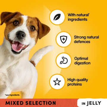 Pedigree Mixed Selection in Jelly | VioVet | FREE delivery available